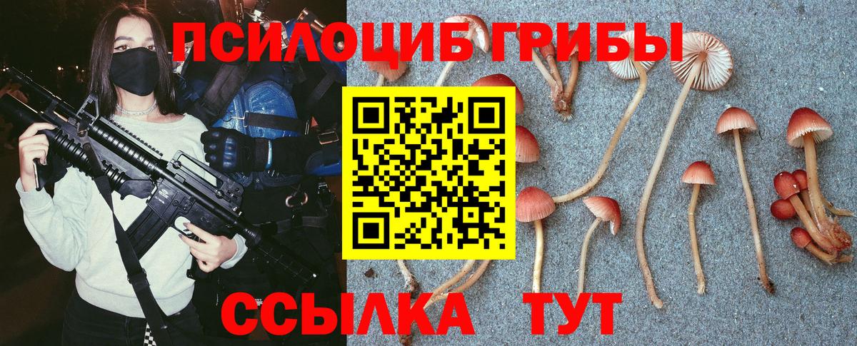 Псилоцибиновые грибы ЛСД Гатчина